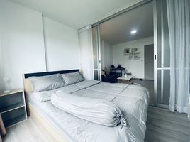 Studio Wohnung zu verkaufen im D Condo Kathu-Patong, Kathu, Kathu