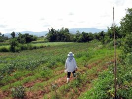  Grundstück zu verkaufen in Chiang Khong, Chiang Rai, Wiang