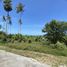  Land for sale in Maenam, Surat Thani, Maenam