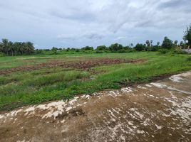  Grundstück zu verkaufen in Mueang Phetchaburi, Phetchaburi, Ban Mo