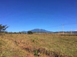  Land for sale in Boquete, Chiriqui, Alto Boquete, Boquete