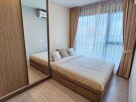 1 Bedroom Condo for rent at The Privacy S101, Bang Chak, Phra Khanong, Bangkok, Thailand