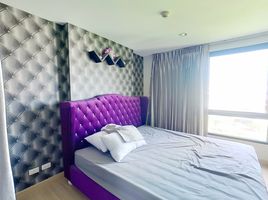 1 Bedroom Condo for sale at The Niche Mono Bangna, Bang Na, Bang Na