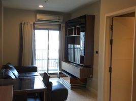 1 Bedroom Condo for rent at The Crest Sukhumvit 34, Khlong Tan