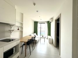 1 Schlafzimmer Appartement zu verkaufen im Rhythm Sukhumvit 42, Phra Khanong