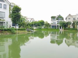 Studio Villa zu verkaufen in Long Bien, Hanoi, Phuc Loi
