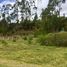  Land for sale in Jadan, Gualaceo, Jadan