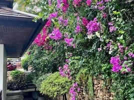 3 Schlafzimmer Haus zu vermieten in Ang Thong, Koh Samui, Ang Thong