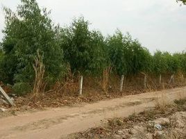  Land for sale in Thailand, Nai Mueang, Wiang Kao, Khon Kaen, Thailand