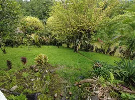  Hotel / Resort zu verkaufen in Turrialba, Cartago, Turrialba, Cartago, Costa Rica