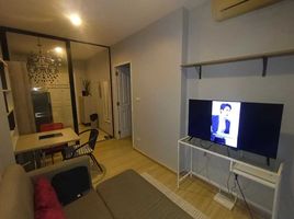 1 Bedroom Apartment for rent at Zcape I, Choeng Thale, Thalang, Phuket, Thailand