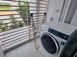 1 Bedroom Condo for rent at Phyll Phuket by Central Pattana, Wichit