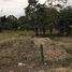  Land for sale in Siquirres, Limon, Siquirres