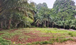 N/A Land for sale in Ao Nang, Krabi 