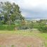  Land for sale in Naranjo, Alajuela, Naranjo