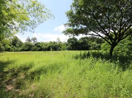  Land for sale in Nam Phrae, Hang Dong, Nam Phrae