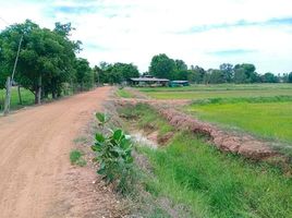  Land for sale in Noen Kham, Chai Nat, Suk Duean Ha, Noen Kham