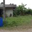  Land for sale in Mueang Chumphon, Chumphon, Na Thung, Mueang Chumphon