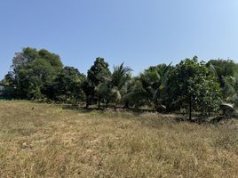  Land for sale in Rawai, Phuket Town, Rawai