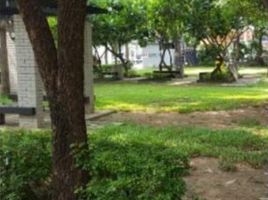 4 Schlafzimmer Haus zu verkaufen im Park In Town, Suan Luang, Suan Luang
