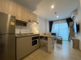 1 Schlafzimmer Wohnung zu vermieten im The Excel Hideaway Sukhumvit 50, Phra Khanong, Khlong Toei, Bangkok