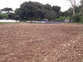  Land for sale in Mae Rim, Chiang Mai, Mueang Kaeo, Mae Rim