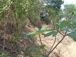  Grundstück zu verkaufen in Koh Samui, Surat Thani, Bo Phut