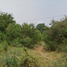  Land for sale in Nakhon Sawan, Nong Pling, Mueang Nakhon Sawan, Nakhon Sawan