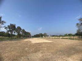  Land for sale in Chiang Mai International Airport, Suthep, San Phak Wan