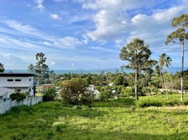  Land for sale in Maenam, Koh Samui, Maenam