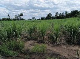  Grundstück zu verkaufen in Si Thep, Phetchabun, Sa Kruat