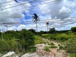  Grundstück zu verkaufen in Pattaya, Chon Buri, Khao Mai Kaeo