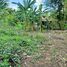  Land for sale in Si Sa Ket, Sawai, Prang Ku, Si Sa Ket