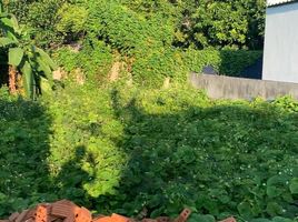  Land for sale in Wat Ket, Mueang Chiang Mai, Wat Ket