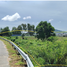  Land for sale in Phuket, Choeng Thale, Thalang, Phuket