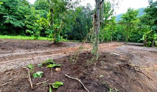 N/A Land for sale in Pa Miang, Chiang Mai 