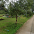  Grundstück zu verkaufen in Pak Phli, Nakhon Nayok, Na Hin Lat, Pak Phli