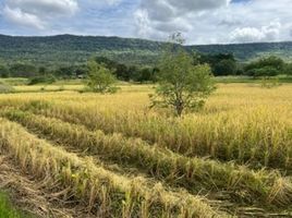  Grundstück zu verkaufen in Phakdi Chumphon, Chaiyaphum, Chao Thong