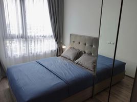 1 спален Кондо в аренду в KnightsBridge Prime On Nut, Phra Khanong Nuea