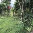  Land for sale in Siquirres, Limon, Siquirres