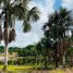  Land for sale in Brazil, Maues, Amazonas, Brazil