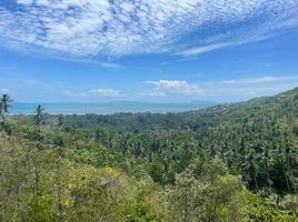  Grundstück zu verkaufen in Koh Samui, Surat Thani, Ang Thong, Koh Samui