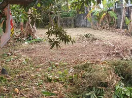  Land for sale in Wichit, Phuket Town, Wichit