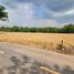  Land for sale in Khlong Luang, Pathum Thani, Khlong Song, Khlong Luang