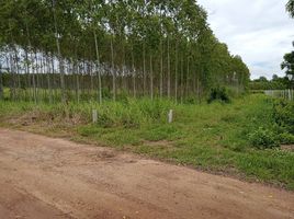  Land for sale in Ko Chan, Chon Buri, Ko Chan, Ko Chan