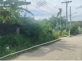  Grundstück zu verkaufen in Thalang, Phuket, Choeng Thale