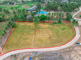  Land for sale in Wang Phong, Pran Buri, Wang Phong