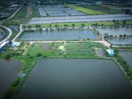  Grundstück zu verkaufen in Bang Sao Thong, Samut Prakan, Bang Sao Thong