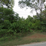  Land for sale in Lampang, Pong Yang Khok, Hang Chat, Lampang