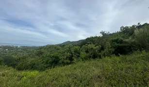 N/A Land for sale in Bo Phut, Surat Thani 